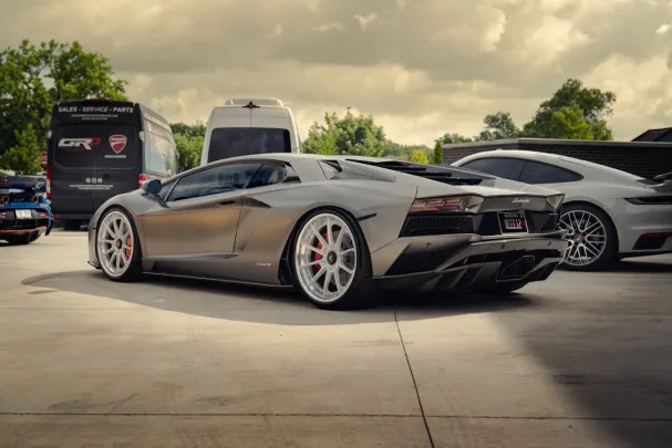 Dolly Kasyno Aplikacja Android/iOS